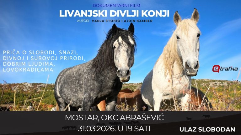 Besplatna projekcija u Mostaru, stiže dokumentarac o livanjskim divljim konjima